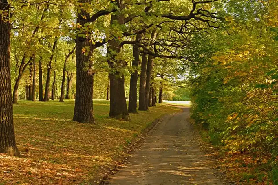 autumn-park-wallpaper-