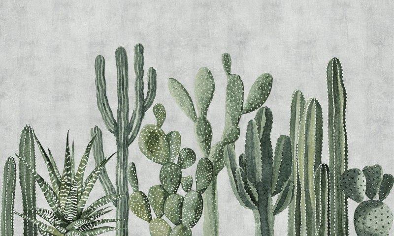 SMART-ART-CACTUS-JACK