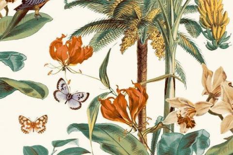 parot-banana-leaves-leopard-flamingo-102