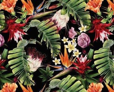 parot-banana-leaves-leopard-flamingo-105