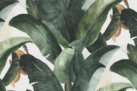 parot-banana-leaves-leopard-flamingo-106