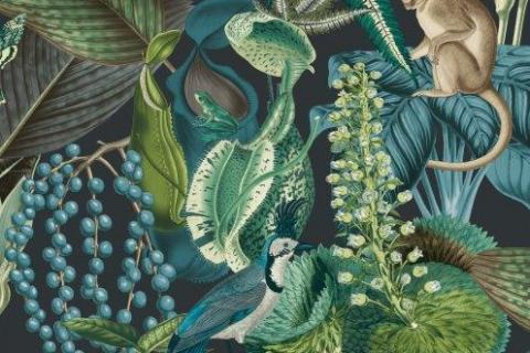 parot-banana-leaves-leopard-flamingo-114