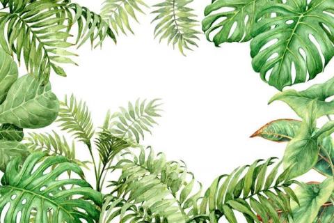 parot-banana-leaves-leopard-flamingo-116