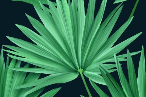 parot-banana-leaves-leopard-flamingo-12