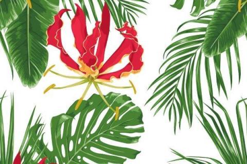 parot-banana-leaves-leopard-flamingo-14