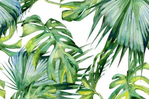 parot-banana-leaves-leopard-flamingo-22