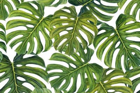 parot-banana-leaves-leopard-flamingo-29