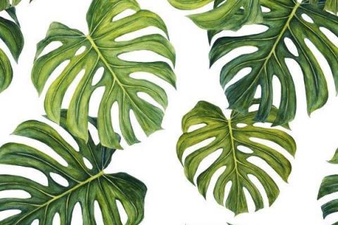 parot-banana-leaves-leopard-flamingo-30