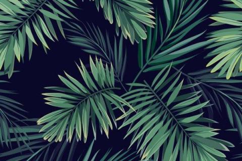 parot-banana-leaves-leopard-flamingo-31