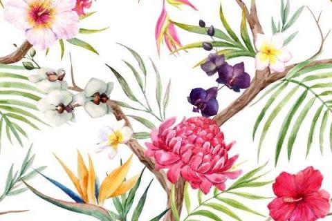 parot-banana-leaves-leopard-flamingo-32