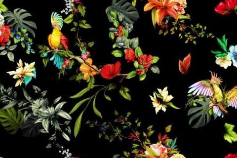 parot-banana-leaves-leopard-flamingo-35