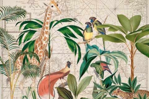 parot-banana-leaves-leopard-flamingo-6