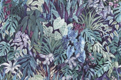 parot-banana-leaves-leopard-flamingo-64