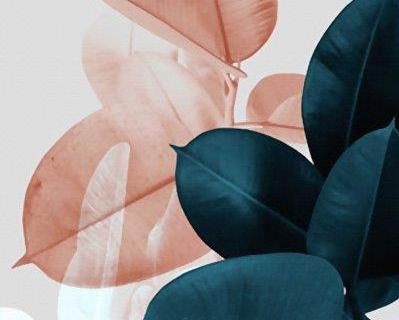 parot-banana-leaves-leopard-flamingo-75