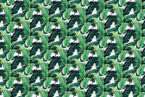 parot-banana-leaves-leopard-flamingo-86