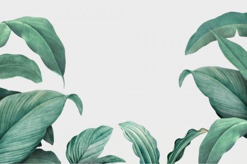 parot-banana-leaves-leopard-flamingo-88