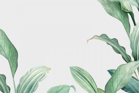parot-banana-leaves-leopard-flamingo-89