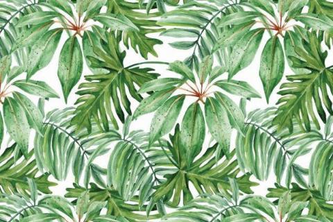 parot-banana-leaves-leopard-flamingo-92