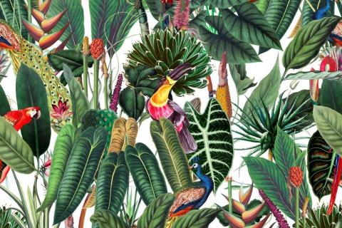 parot-banana-leaves-leopard-flamingo-93