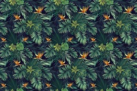 parot-banana-leaves-leopard-flamingo-96