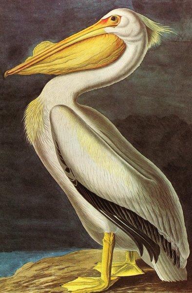 1_Smart-Art-Vintage-Art-and-various-artists-285