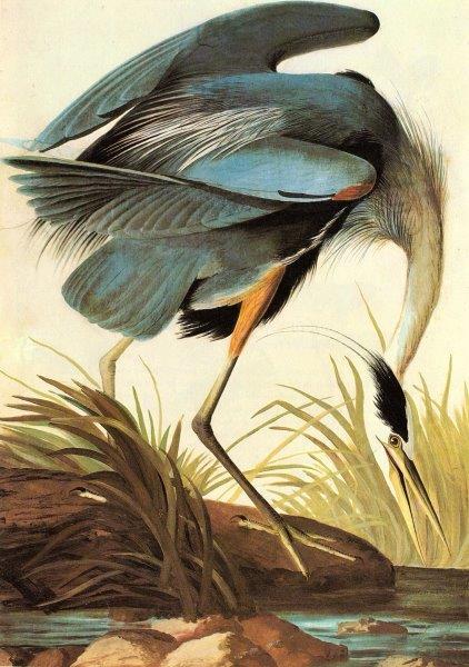 Smart-Art-Vintage-Art-and-various-artists-190
