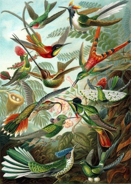 Smart-Art-Vintage-Art-and-various-artists-198