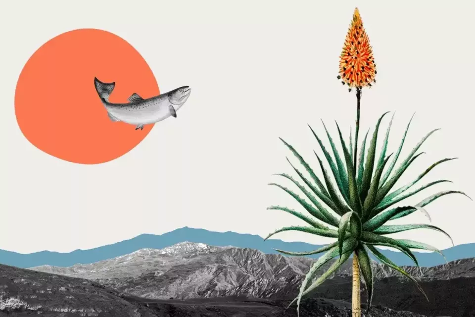 SmartArt_Whimsical_-FishLandFlower