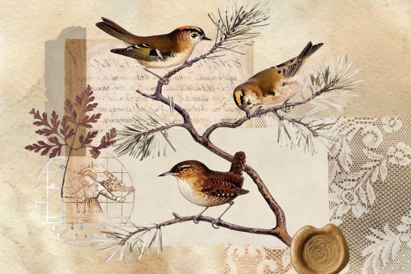 SmartArt_Whimsical_Birds