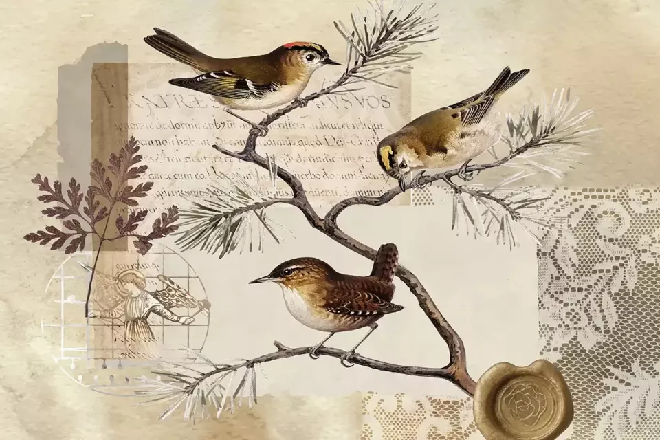 SmartArt_Whimsical_Birds