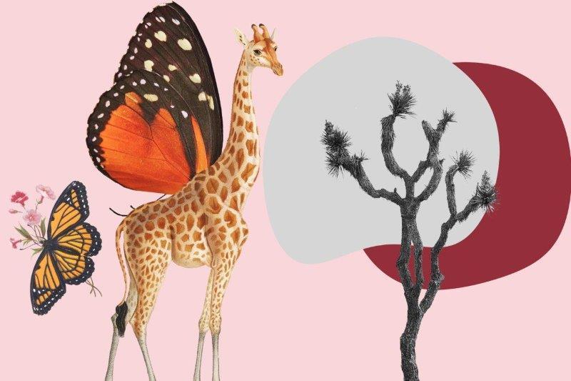 SmartArt_Whimsical_ButterflyGiraffe_Night
