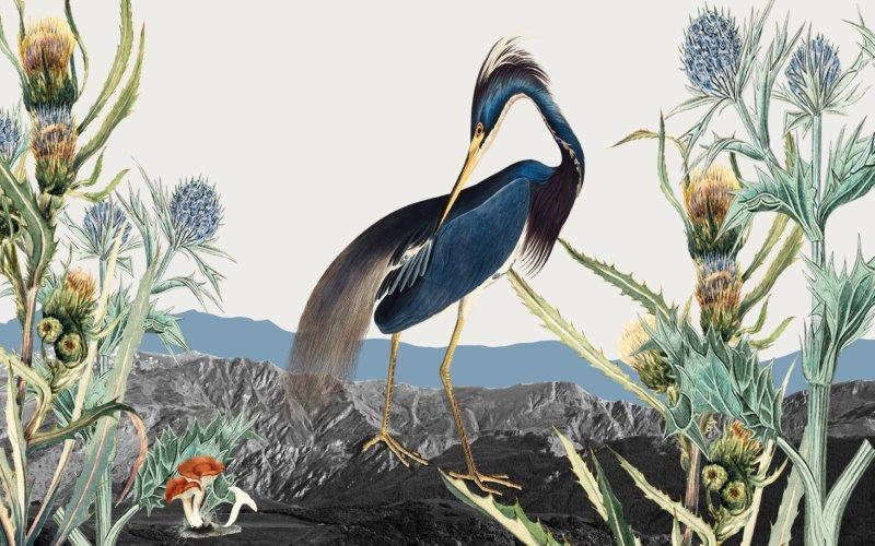 SmartArt_Whimsical_Heron