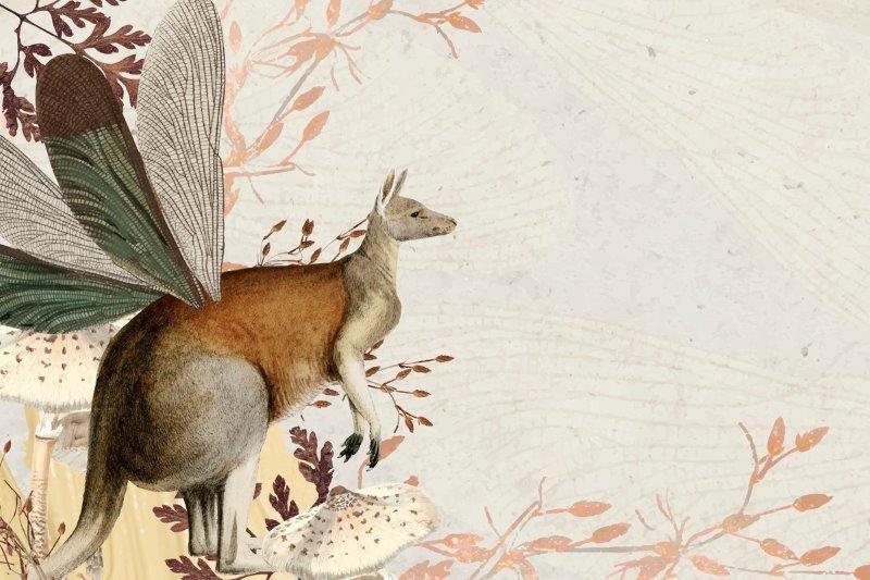 SmartArt_Whimsical_Kangaroo