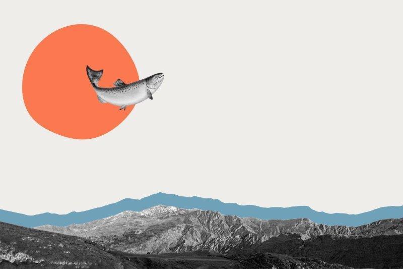 SmartArt_Whimsical_Landscape_Fish