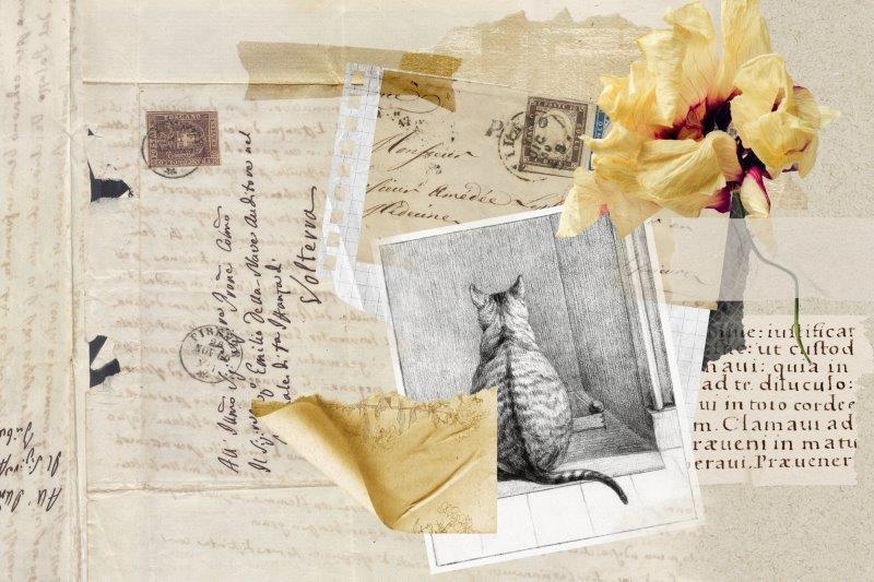 SmartArt_Whimsical_YellowFlower_Cat