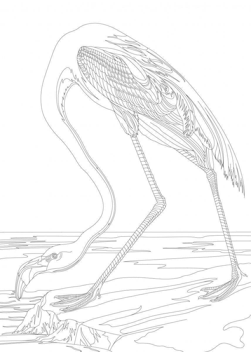 Colouring In - Image 3